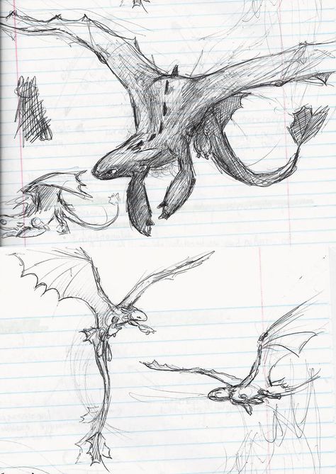 Toothless Sketch, Toothless Httyd, Dragon Sketches, Cressida Cowell, Dragon Anatomy, Httyd Art, Toothless Dragon, Httyd Dragons, Dragon Sketch