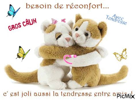 Calin Gif, Mode Vintage, Betty Boop, Teddy Bear, Animals