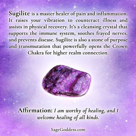 Sugilite Stone, Crystal Seashells, Crystal Power, Crystal Cave, Crystals Healing Properties, Rock Minerals, Spiritual Crystals, Gemstone Meanings, Crystal Healing Stones