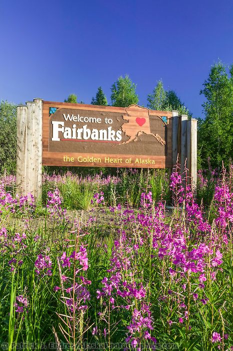 Welcome to Fairbanks sign, Fireweed, Fairbanks, Alaska Alaska Photos, North To Alaska, Alaska Trip, Alaska Vacation, Fairbanks Alaska, Alaska Cruise, Alaska Travel, Midnight Sun, Art Prints For Home