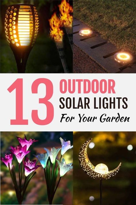 Solar Lights In Planters, Outdoor Ambiance, Solar Powered Garden Lights, Front Yard Decor, Solar Lawn Lights, Solar Flower, Unique Night Lights, Galaxy Lights, Outdoor Garden Lighting