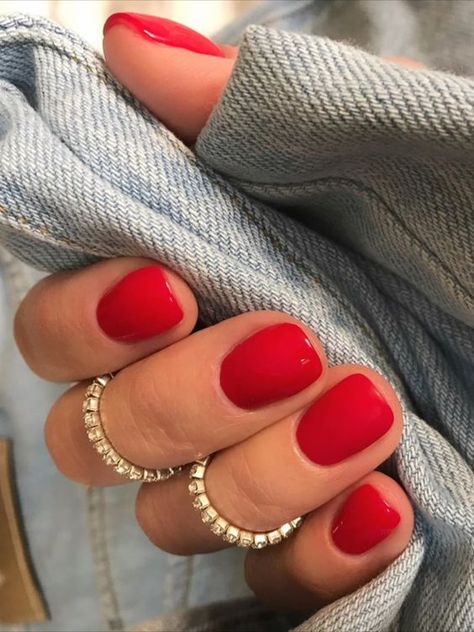 The Best Red Nails & Red Nail Colors Of The Year | Almond Manicure, Nail Theory, Short Red Nails, Nail Short, Red Gel Nails, Red Acrylic Nails, Short Square Nails, Nails Square, Red Nail Polish