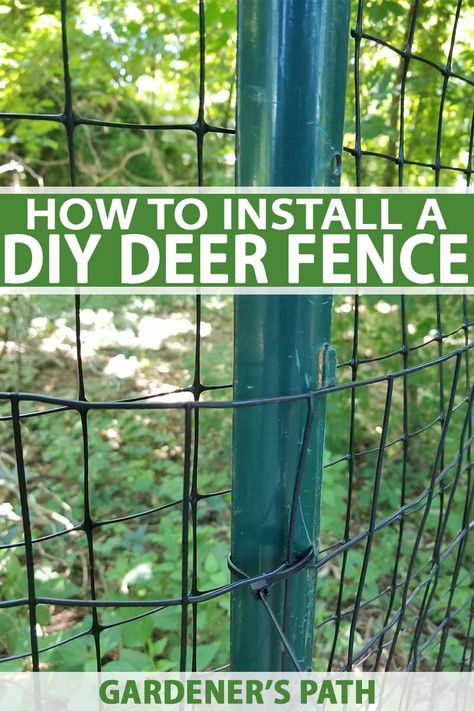 Terrace Gardening, Deer Resistant Garden, Tattoo Plant, Diy Garden Fence, Deer Fence, Vegetable Garden Raised Beds, Diy Fence, Homestead Survival, Small Space Gardening