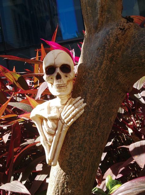 PRICES MAY VARY. 14" tall skeleton tree peeker yard decoration Made of high quality durable plastic. Suitable for indoor and outdoor use. Surprise family, friends and guests when an unexpected character emerges from your backyard tree Easily hang on trees, poles, beams, walls, and many other surfaces to create an eerie effect Spooky addition to any Halloween scene or display Skeleton Ornaments, Hugging Tree, Skeleton Tree, Cute Skeleton, Decoration Halloween, Halloween Skeleton, Beams, Skeleton, Halloween Decorations