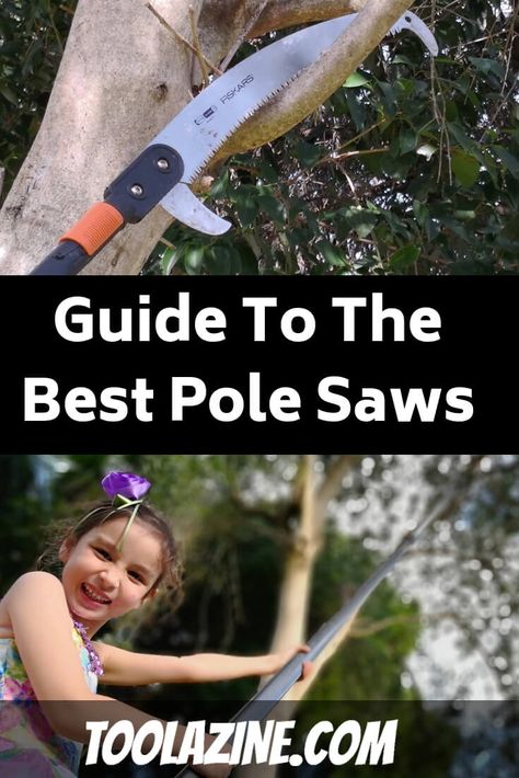 The Best Pole Saw Pruners Budget Gardening, Urban Gardening Balcony, Urban Gardening Ideas, Urban Garden Design, Best Garden Tools, Pole Saw, Bush Beans, Pole Beans, Gardening Diy