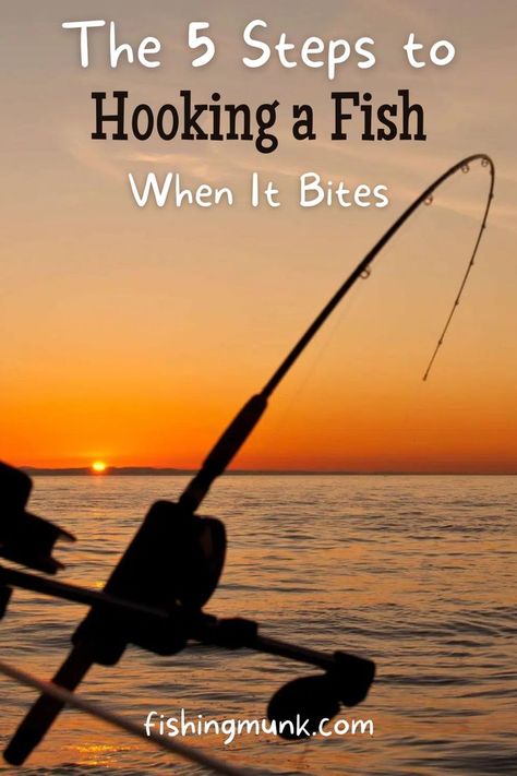 When going fishing, knowing how to hook a fish when it bites is one of the most important skills to have at hand. There are certain steps from choosing the right lure to detecting a fish bite that can help make the process of hooking the perfect catch smoother and more efficient for you. Beginner Fishing, Fishing Tricks, Fishing Hacks, Fish Bites, Diy Fishing, Fishing For Beginners, Fishing Stuff, Homesteading Skills, Fishing Techniques