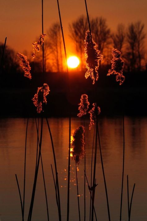 Russet Aesthetic, Sunset Photography Nature, Wallpaper Moon, Sunrise And Sunset, Best Nature, Sunset Wallpaper, Photography Nature, Nature Wallpaper, Sunset Photography