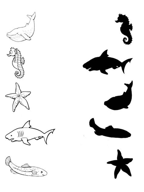 worksheet Water Animals Worksheet, Water Animals Preschool, Kindergarten Transportation, Ocean Theme Preschool, Spring Drawing, Fun Worksheets For Kids, Summer Worksheets, Preschool Reading, Animal Worksheets