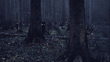 Something in the forest is lurking Nightmare Gif, Forest Gif, Dark Gif, Creepy Forest, Creepy Gif, Dark Woods, The Creeper, Scary Gif, Ange Demon