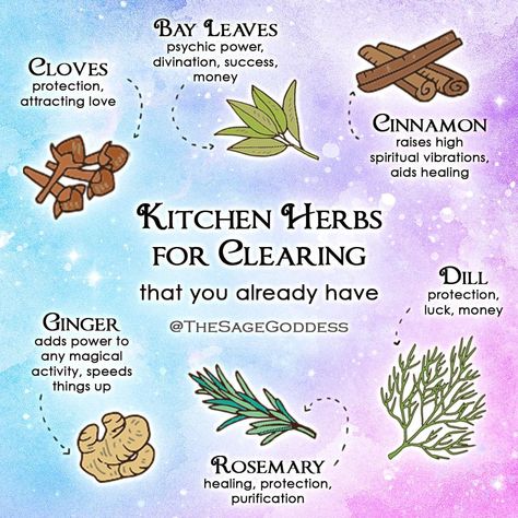 Herbs Of Gemini, Herbs For Protection, Herbal Witch, Outdoor Meditation, Goddess Magick, Money Spells That Work, Magickal Herbs, Medicinal Herbs Garden, Witch Herbs