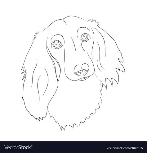 Dachshund Dog Drawing, Line Drawing Images, Dachshund Drawing, Dog Line Drawing, Daschund Puppies, Dachshund Stuff, Dachshund Tattoo, Dog Outline, Dog Patterns