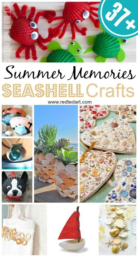 Seashell Craft Ideas - over 37+ ideas to keep you Summer Crafts Happy. Love all these shell crafts for kids and grown ups.. a wonderful way to create the best summer keepsakes! Shell Crafts For Kids, Shell Craft Ideas, Beach Crafts For Kids, Seashell Ideas, Summer Crafts For Toddlers, Coastal Crafts, Shell Yeah, Red Ted Art, Shell Craft