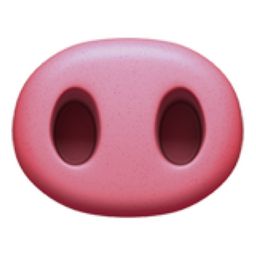 The Pig Nose Emoji on iEmoji.com Pig Nose Drawing, Emoji Codes, Pig Emoji, Pig Snout, Emoji Characters, Pig Wallpaper, Pig Nose, Barn Animals, Emoji Pictures