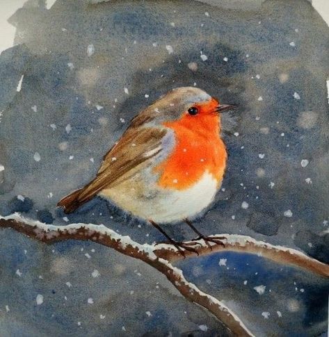 Christmas Robin Illustration, Robin Bird Painting, Robin Watercolour, Watercolour Robin, Watercolor Christmas Art, Beautiful Universe, Bird Painting Acrylic, Bird Paintings On Canvas, Christmas Robin