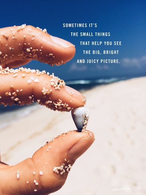 Deep thoughts inspired by sand and some small shells. Interior Styles Types, Goldfish Kiss, Wise Up, Meaning Of Life, Wonderful Words, Happy Thoughts, Dental Health, Poetry Quotes, Goldfish