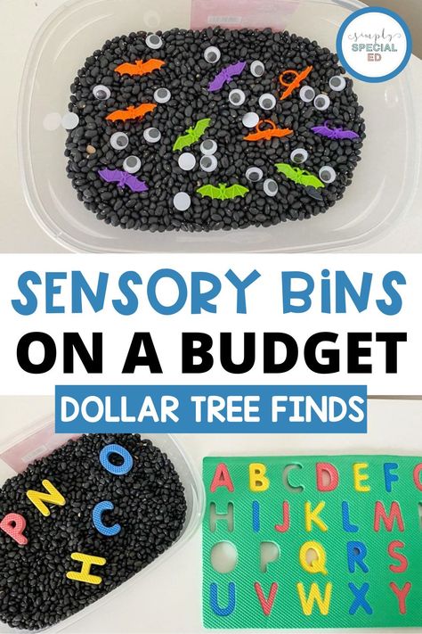 Sensory bins provide an opportunity for enriched tactile and visual input. Special education students love sensory bins. There is so much you can do with them. You can create budget friendly sensory bins by visiting your Dollar Tree. I have found so many Dollar Store sensory bin finds over the years that I barely go anywhere else. You can create holiday sensory bins or seasonal bins. There are so many sensory bin activities and accessories you can buy. Create your sensory bin on a budget today! Sensory Activities For Special Needs Classroom, Dollar Store Preschool Activities, Math Sensory Bin Kindergarten, Educational Sensory Bins, Elmo Sensory Bin, 1st Grade Sensory Bin, Letter L Sensory Bin, Pre K Special Education Activities, Special Ed Preschool Activities