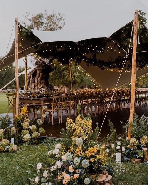 Wedding Tent Draping, Tents For Parties, Outdoor Wedding Reception Decorations, Reception Decorations Wedding, Decoration Ideas Wedding, Stretch Tent, Wedding Tent Decorations, Outdoor Tent Wedding, Tent Wedding Reception