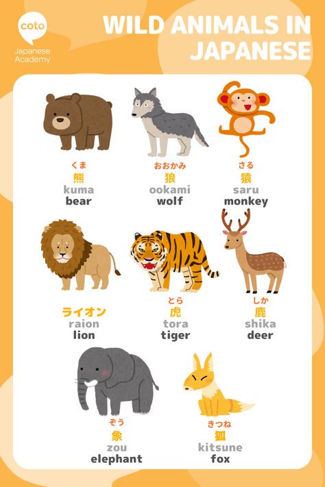 Animals In Japan, Cool Fantasy Names, Learn Basic Japanese, Japanese Vocabulary, Bahasa Jepun, Basic Japanese, Japanese Animals, Materi Bahasa Jepang, Japanese Language Lessons