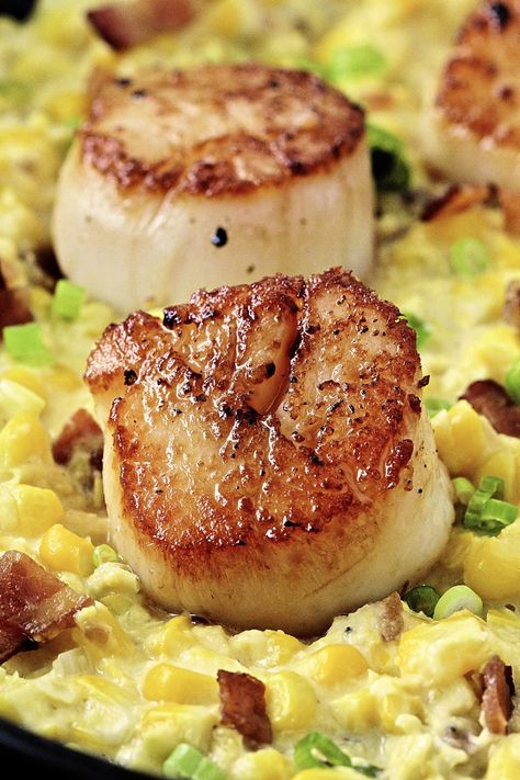 Corn And Scallops, Seared Scallops With Sweet Summer Corn, Scallops And Corn Recipes, Scallops Appetizer Recipes, Scallops Corn Recipe, Scallops With Corn Succotash, Scallop And Corn Recipes, Gourmet Seafood Recipes, Scallop Meals