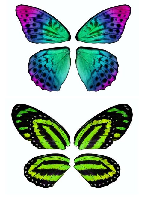 Paper Butterflies, Paper Butterfly, Butterfly Crafts, Paper Crafts Origami, Doll Repaint, Fairy Wings, Paper Toys, Butterfly Art, Butterfly Wings