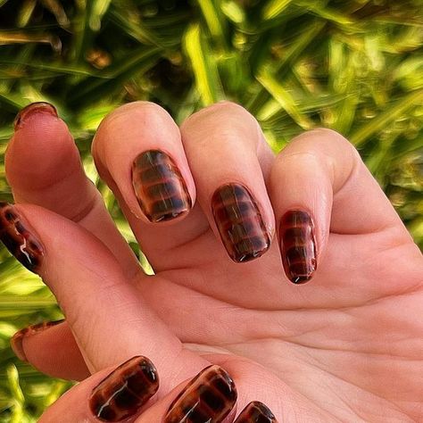 Nails by Yadira on Instagram: "🐊 See you later, alligator 🐊 • • BIAB LEVEL 3 for @vivalaviev  • #nails #nailart #handpainted #biab #biabnails #crocodile #alligator #print #nails💅 #nailinspo #naildesign #nailsofinstagram #nailsofig #nailsonfleek #nailsonpoint #nailaddict #nailartist #naildesigns #naildone #nailsdid #naillove #amsterdam" Brown Alligator Nails, Fall Crocodile Nails, White Alligator Nails, Crocodile Nails Tutorial, Brown Crocodile Nails, Alligator Print Nails, Brown Croc Nails, Crocodile Nail Design, Crocodile Print Nails