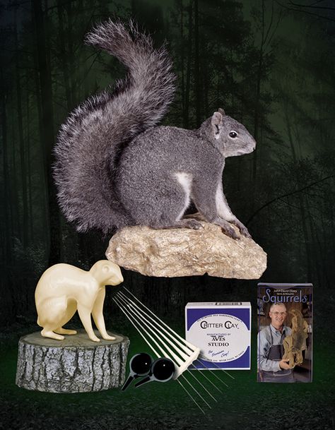 With deer season coming to an end, a lot of us have our sights set on squirrel hunting. See some products for a fun winter project.  http://www.mckenziesp.com/Default.aspx Squirrel Hunting, Animal Taxidermy, Deer Season, Deer Mounts, Hunting Room, Hunting Cabin, Winter Project, Taxidermy, Hunting