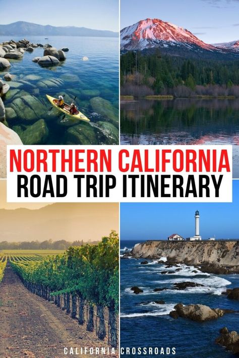 The Ultimate Northern California Road Trip Itinerary (By a NorCal Native) California Itinerary, Northern California Beaches, Northern California Road Trip, Northern California Travel, California Road Trip Itinerary, Northern California Coast, California Coast Road Trip, America Trip, California Road Trip