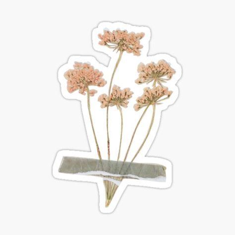 "vintage flower with tape" Sticker for Sale by BookishSpace1 Vintage Tape Sticker, Vintage Dried Flowers Stickers, Dried Flowers Stickers, Vintage Flower Stickers, Vintage Flowers Stickers, Biology Projects, Flowers For Sale, Flower Collage, Background Pictures