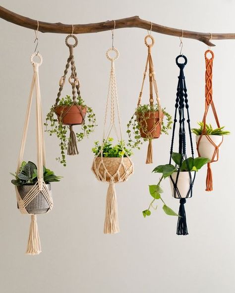 BeanDaikon Macrame on Instagram: "🌟 Big reveal time! 🌟 We're super excited to drop our latest gem—the BeanDaikon Macrame Plant Hanger! If you're all about that plant life, you're gonna want this beauty sprucing up your space. It’s chic, it’s eco-friendly, and it’s a total space saver.   Dive into our freshest collection and get ready to give your plants a trendy lift. Swipe right for a sneak peek and tap the link in our bio to grab yours. Let’s bring that green vibe home! 💚  #BeanDaikon #MacramePlantHanger #MacrameLove #NewColletion #PlantLovers #HomeDecorIdeas #BohoHomeDecor #ModernMacrame #ArtisanMade #CraftsmanShip #IndoorPlants #UrbanJungle #HousePlantCommunity" Boho Planters, Planter Hanger, Green Vibe, Macrame Home, Plant Hanger Macrame, Macrame Home Decor, Support Pour Plante, Christmas Organization, Macrame Plant Holder