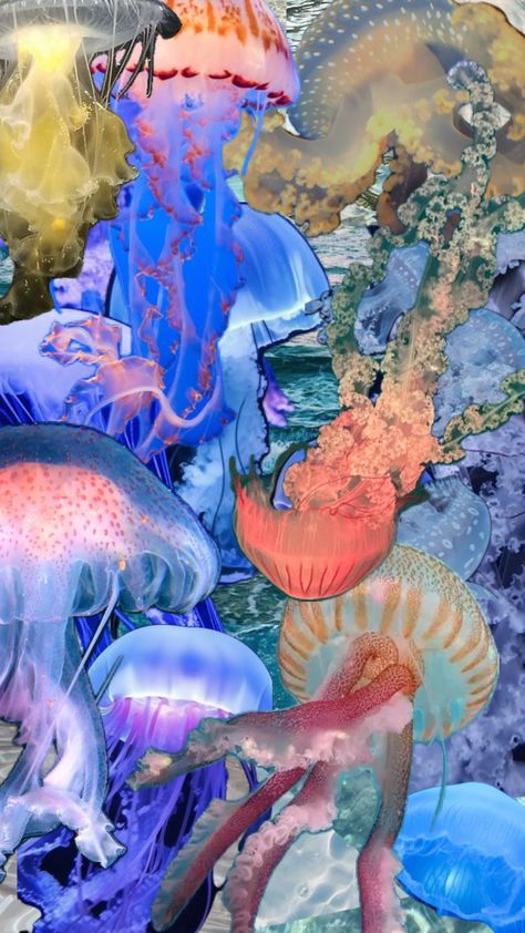 #jellyfish#water Ocean Room Decor, Jellyfish Pictures, Ocean Room, Spiritual Wallpaper, Future Wallpaper, Jellyfish Art, Fish Wallpaper, Jelly Fish, Matching Wallpaper