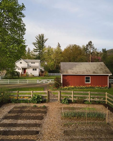 Backyard Farm Aesthetic, Vision Board Photos Homestead, House Design Cottage Core, Simple Life Asthetics, Farmhouse Life Aesthetic, Cozy Farm Aesthetic, Little Farm Aesthetic, Farm Life House, Small Home Farm