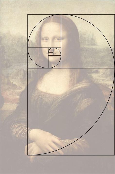 Fibonacci Sequence In Nature, Golden Ratio Art, Fibonacci Art, Golden Ratio In Design, Geometry In Nature, Fibonacci Spiral, Art Basics, Photo Composition, Composition Photography