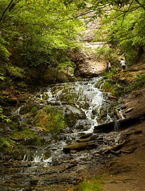 Decorah Iowa, Driftless Area, Fish Hatchery, Travel Wishes, Spring Park, Mountain Bike Trails, Mountain Town, United States Travel, Bike Trails