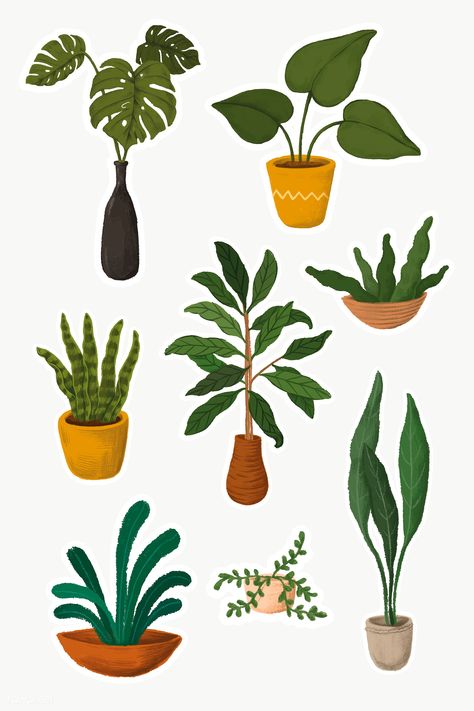 Indoor plants sticker collection | premium image by rawpixel.com / Noon Indoor Plants Illustration, Plant Art Painting, Plants Illustration, White Marble Background, Seni Dan Kraf, Architecture Collage, Lifestyle Illustration, Vector Background Pattern, Plant Aesthetic