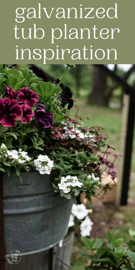 Galvanized Flower Pots, Galvanized Herb Garden, Ideas For Galvanized Tubs, Metal Tub Planter Ideas, Wash Bin Planter, Flowers In Galvanized Tub, Galvanized Wash Tub Planter Ideas, Large Galvanized Tub Ideas, Galvanized Stock Tank Planter Ideas