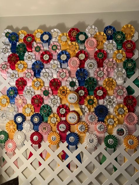 Dog Show Rosettes Ribbon Display, Horse Back Riding Ribbons Display, Displaying Ribbons Awards, What To Do With Horse Show Ribbons, Horse Show Ribbon Ideas, Equestrian Ribbon Wall, Rosette Ribbon Display, Equestrian Ribbon Display, Ribbon Display Ideas Horse