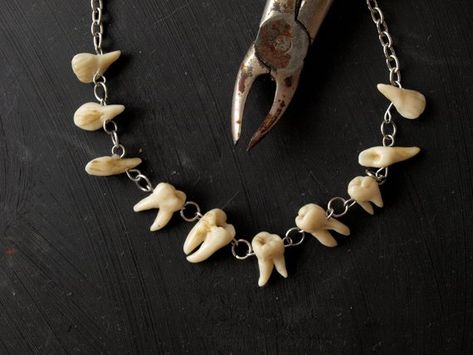 image 0 Teeth Necklace, Gothic Jewellery, Human Teeth, Taxidermy Art, Vulture Culture, Teeth Jewelry, Tooth Necklace, Bone Jewelry, Gothic Earrings