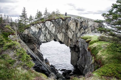 A Hike on the Spurwink Island Path, East Coast Trail, Newfoundland - Hike Bike Travel Fun Facts About Canada, Newfoundland Travel, Labrador Canada, Bike Travel, Newfoundland Canada, East Coast Travel, Canadian Travel, Atlantic Canada, Visit Canada