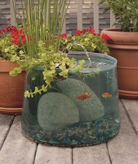 Garden Aquarium, Mini Pond, Taman Air, Pond Ideas, نباتات منزلية, Have Inspiration, Fish Ponds, Fish Pond, Small Gardens