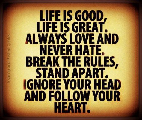 Life is good When Life Is Good Meme, Follow Your Heart, Special Needs Kids, Best Memes, Inspirational Words, Life Is Good, Memes, Quotes