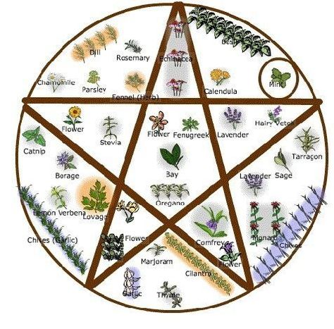 Various Paths of Witchcraft: Eclectic Wicca/Witchcraft – Witches Of The Craft® Outdoor Altar, Witch's Garden, Garden Witch, Witchy Garden, Magia Das Ervas, Witch Garden, Magic Herbs, Magical Garden, Garden Pictures