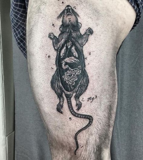 Rotting Tattoo, Rotting Animal Tattoo, Dissection Tattoo, Two Headed Rat Tattoo, Kids Braids Styles, Decay Tattoo, Rat Dissection, Loop Tattoo, Dark Tattoo Ideas