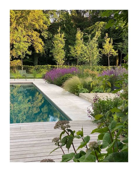 Amanda Buckland on Instagram: "I called in this evening to capture our clients garden now in its second summer. 🏊‍♂️💙 📷 Wonderful light. We’ve applied a pared back…" Landscaping Pool Ideas, Gardens With Pools, Wild Swimming Pool Garden, Garden Design Pool, Mini Meadow, Nature Pond, Pool Plants, Prairie Planting, Natural Swimming Ponds