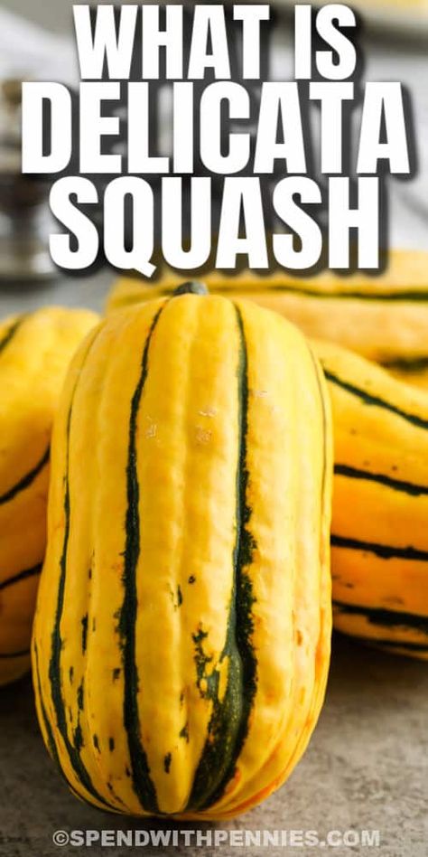 What is Delicata Squash? It's a winter squash full of flavor & nutrition and can be cooked in so many ways. Use as a substitute for pasta, mash it, or roast with simple salt & pepper, the possibilities are endless! #spendwithpennies #whatisdelicatasquash #kitchentips #seeds #healthy #taste #savory #best #nutrition #good #sweet #creamy Keto Delicata Squash Recipe, How To Cook Delicate Squash, Baked Delicata Squash, How To Roast Delicata Squash, Substitute For Pasta, Salmon Delicata Squash, Easy Squash Casserole, Squash Delicata, Easy Squash Recipes