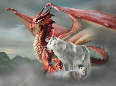 Dragon and wolves Facebook Layouts, Dragon Wolf, Fantasy Wallpapers, Dragon Tales, Fantasy Wolf, Dragon Artwork Fantasy, Dragon Images, Wolf Spirit Animal, Fairy Dragon