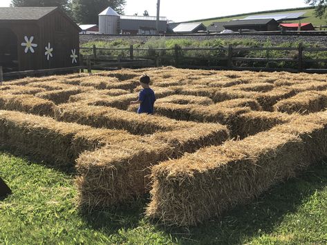 Agritourism Farms, Easter Photo Booth, Pumpkin Patch Farm, Orvis Fly Fishing, Miracle Grow, Outside Games, Harvest Fest, Farm Day, Farm Plans