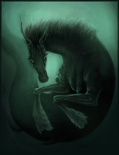 water horse-mythical horse in "The Scorpio Races". You don't have to be a horse lover to love this book! Kelpie Horse, The Scorpio Races, Magic Creatures, Second Star To The Right, Water Spirit, Fantasy Horses, Creatures Art, Mythical Creatures Art, Mythological Creatures