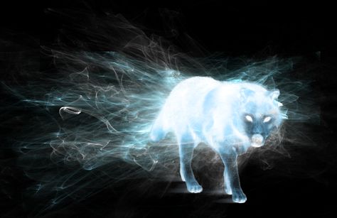 Wolf Patronus by hpwolffreak.deviantart.com on @DeviantArt Wolf Patronus, Slytherin Harry Potter, Beautiful Wolves, Remus Lupin, Hogwarts School, Harry Potter Aesthetic, German Shorthaired Pointer, Hogwarts Houses, Service Dog