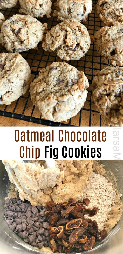 Oatmeal Chocolate Chip Fig Cookies - One Hundred Dollars a Month Morning Cookies, Fig Chocolate, Oatmeal Dessert, Recipe Oatmeal, Fig Cookies, Oatmeal Breakfast Cookies, Recipe List, Breakfast Cookies Healthy, Fig Recipes