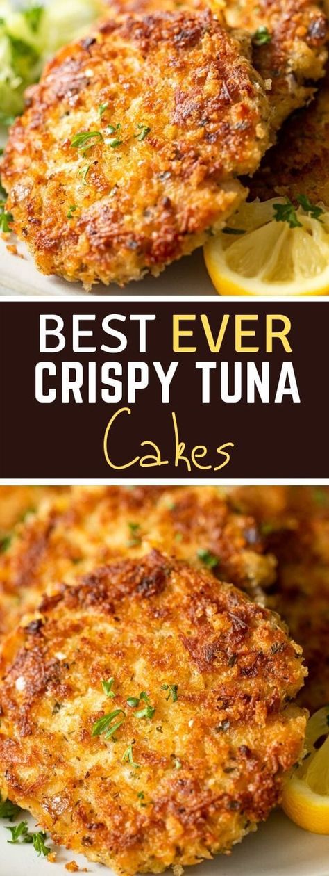 Crispy Tuna, Tuna Fish Cakes, Tuna Patties Recipes, Tuna Fish Recipes, Canned Tuna Recipes, Tuna Patties, Tuna Cakes, Mango Avocado Salsa, Delicious Seafood Recipes